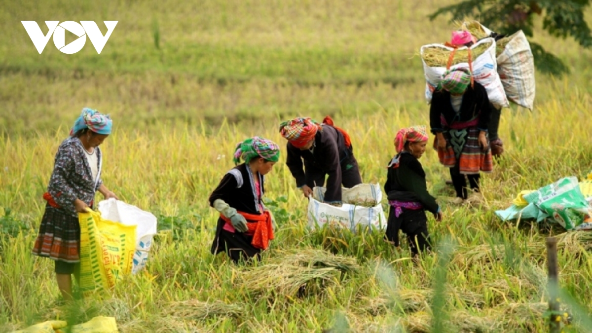 Vietnam prioritises economic growth associated with caring for the poor